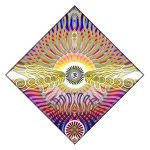 22" X 22" Full Color Bandana