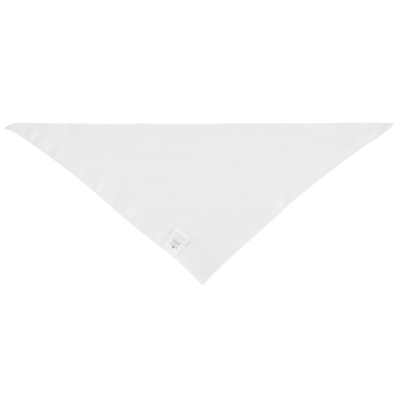 Full Color Small Triangle Rpet Pet Bandana - 2