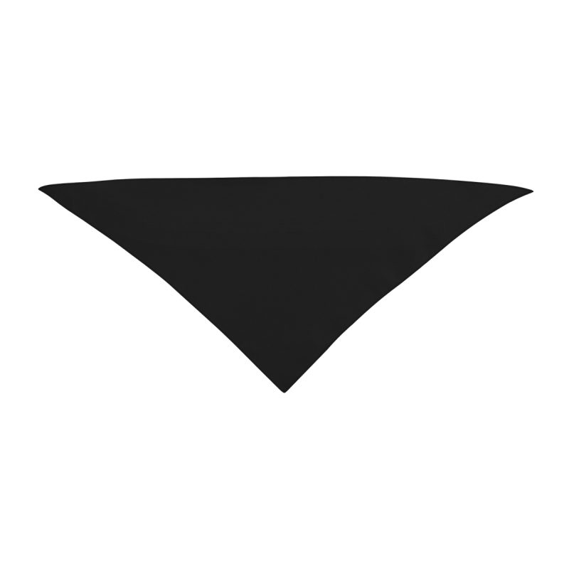 Small Triangle Rpet Pet Bandana - 1