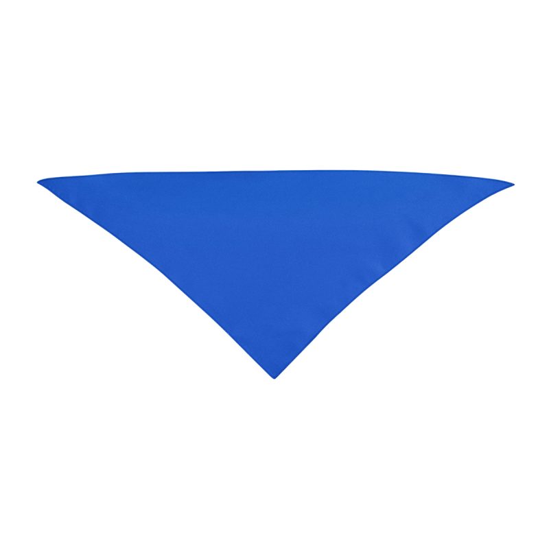 Small Triangle Rpet Pet Bandana - 4
