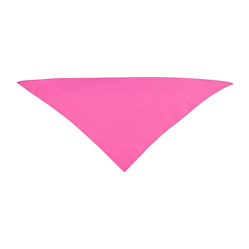 Small Triangle Rpet Pet Bandana - 9