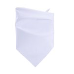 Dye-Sublimated Pet Bandana - 2