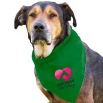Garyline® Large Triangle Doggie Bandana - 2