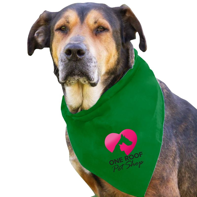 Garyline® Large Triangle Doggie Bandana - 2