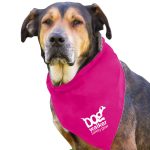 Garyline® Large Triangle Doggie Bandana - 3