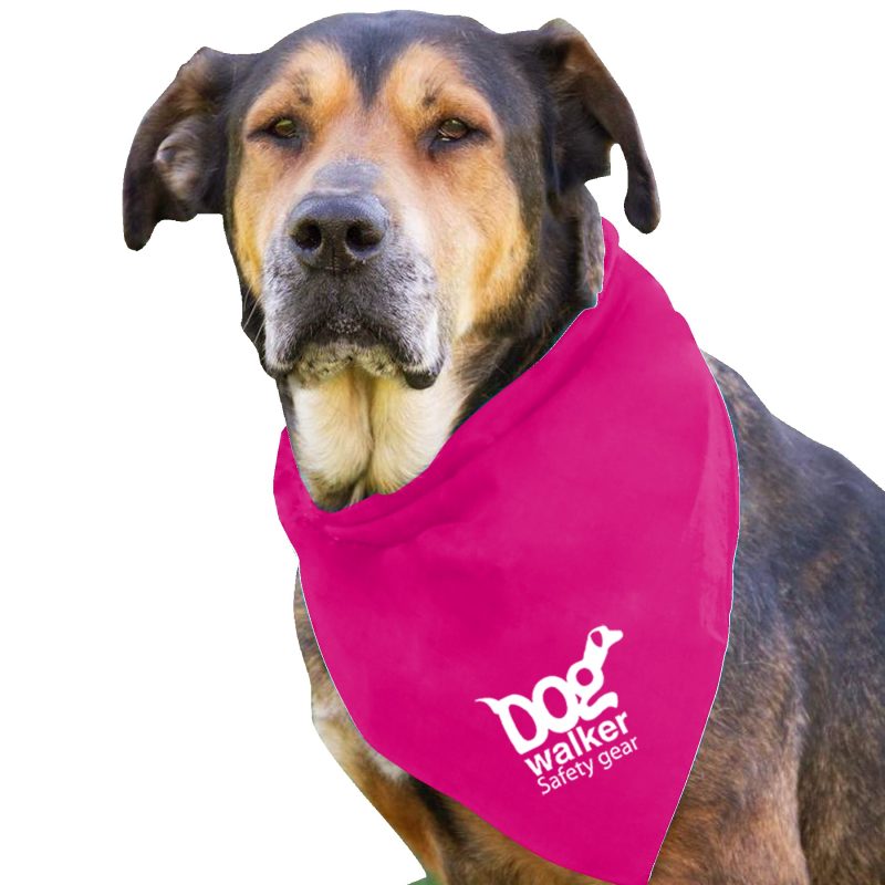 Garyline® Large Triangle Doggie Bandana - 3