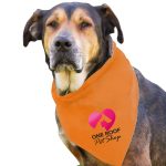 Garyline® Large Triangle Doggie Bandana - 4