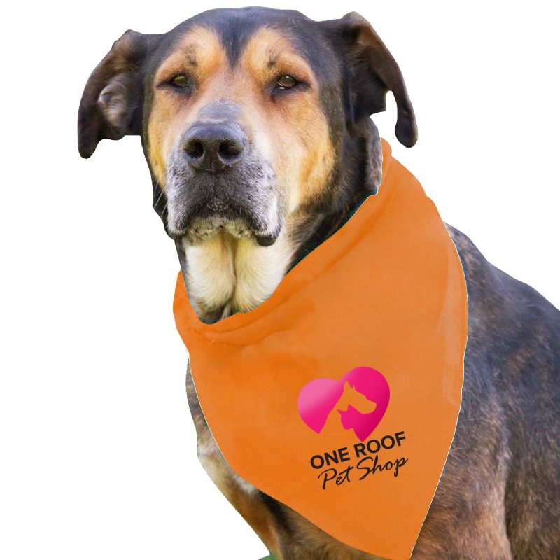Garyline® Large Triangle Doggie Bandana - 4