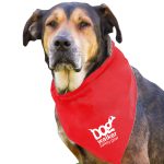 Garyline® Large Triangle Doggie Bandana - 5