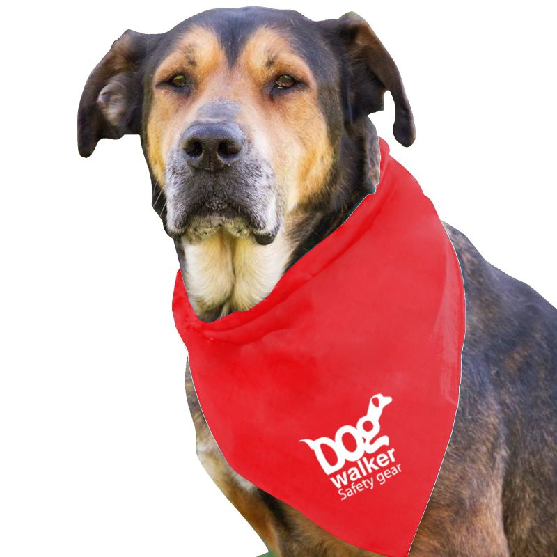 Garyline® Large Triangle Doggie Bandana - 5