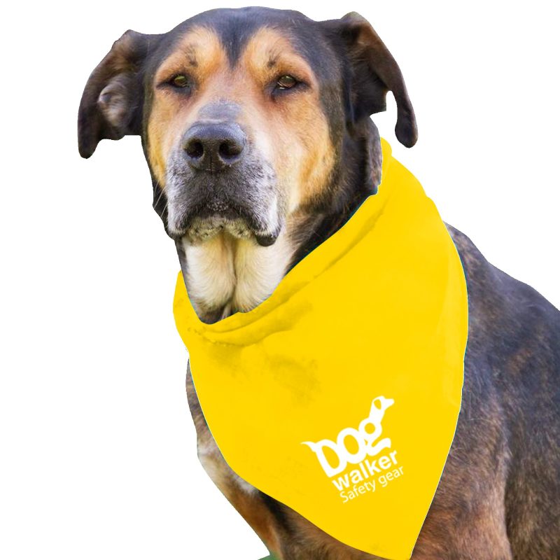 Garyline® Large Triangle Doggie Bandana - 7