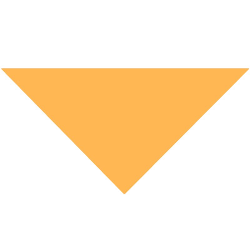 Cotton Collar Pet Bandana - Large - 2