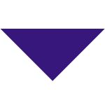 Cotton Collar Pet Bandana - Large - 7