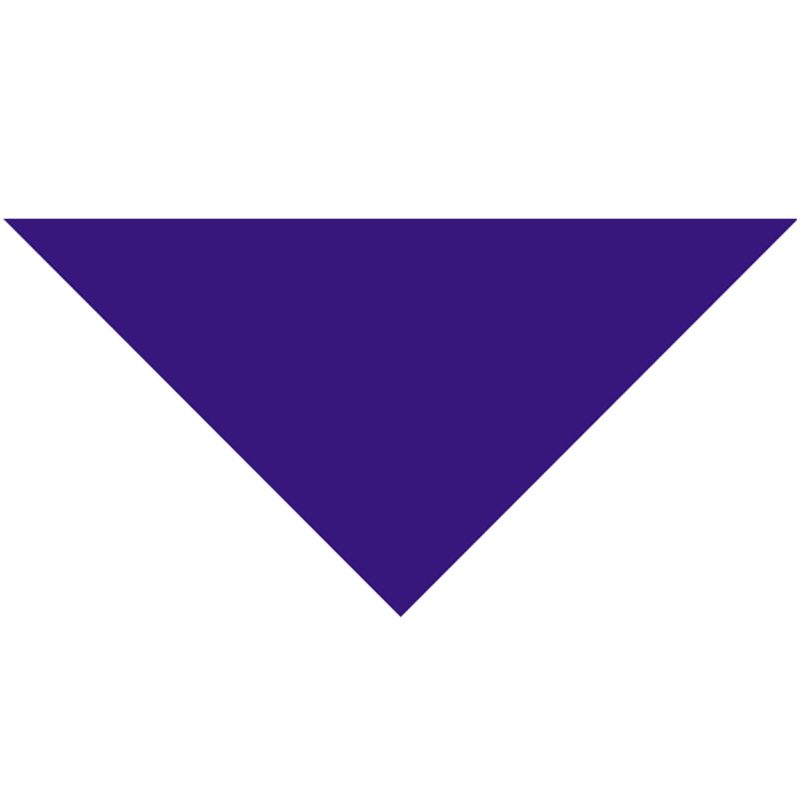 Cotton Collar Pet Bandana - Large - 7