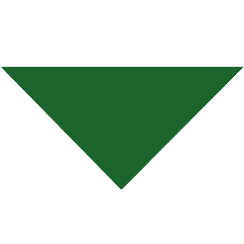 Cotton Collar Pet Bandana - Large - 8