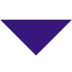 Cotton Collar Pet Bandana - Small - 9