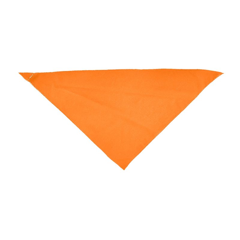 Small Triangle Pet Bandana with Screen Print - 1