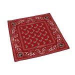 Import Square Bandana - 2