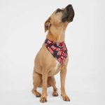 Doggie Skins® USA-Made Doggie Bandana - 1