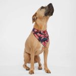 Doggie Skins® USA-Made Doggie Bandana