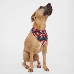 Doggie Skins® USA-Made Doggie Bandana