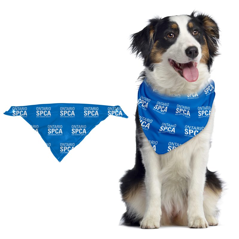 Pet Bandana - 3
